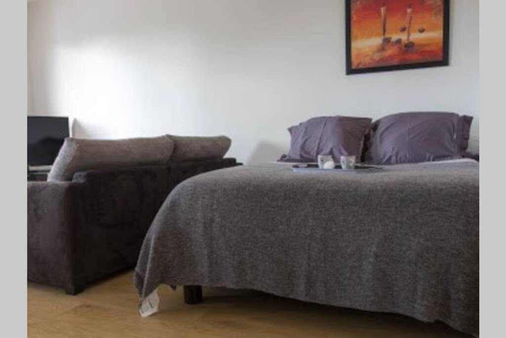 Appartement Le Schnokeloch Strasbourg