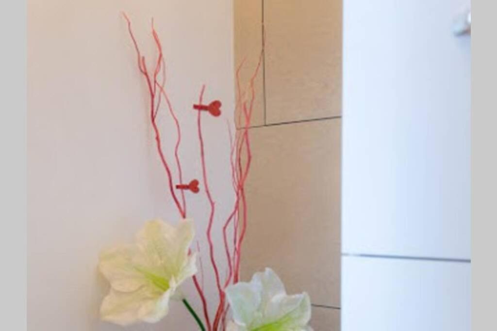 Le Schnokeloch Appartement Strasbourg
